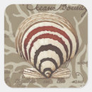 Search for sonnet stickers Seashells