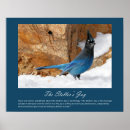 Search for jay posters Animals