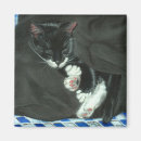 Search for sleeping cat magnets Black