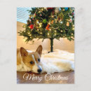 Search for cute corgi postcards Puppy