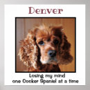 Search for cocker spaniel art Dogs