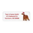 Search for irish setter return address labels Pet