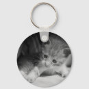 Search for curious cat key rings Kitten