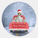 Search for goldendoodle stickers Animal