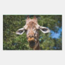 Search for silly faces stickers Cute