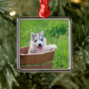 Search for alaskan husky christmas tree decorations Puppy