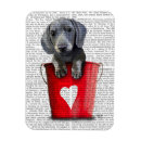 Search for bucket magnets Puppy