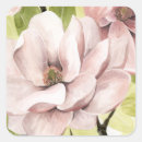Search for magnolia flower stickers Botanical
