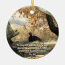 Search for birds of paradise christmas tree decorations Nature