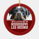 Search for rottweiler christmas tree decorations Dogs