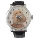 Search for cocker spaniel dog watches Puppy