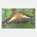 Search for tropical butterfly stickers Insects