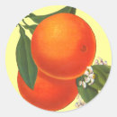 Search for crate stickers Fruit