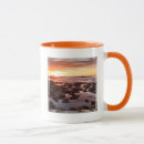 Search for la jolla mugs Coastline