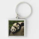 Search for province key rings China