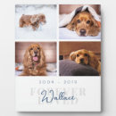 Search for pet portraits Elegant