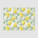 Search for lemon tissue paper Nature