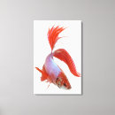 Search for betta fish art Nature