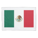 Search for eagle pillowcases Patriotic