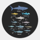 Search for species stickers Marine life