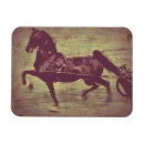 Search for saddlebred Grunge