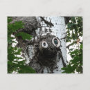 Search for tree face postcards Magic