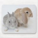 Search for lop mouse mats Friendship