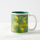 Search for ladyslipper Orchid
