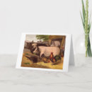 Search for barnyard cards Pigs