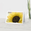 Search for blank sunflower cards Nature