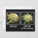 Search for trump postcards Satire