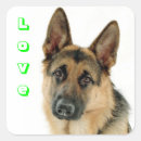 Search for german shepherd gear stickers Puppy