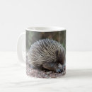 Search for anteater mugs Mammal