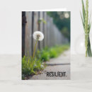 Search for flower seed cards Dandelion