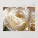 Search for fun shower wedding invitations For her