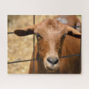 Search for goat puzzles Farm