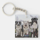 Search for australian shepherd key rings Canine