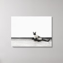 Search for unique pet memorials Cat