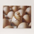 Search for chicken egg puzzles Bird