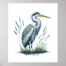 Search for wetland posters Heron