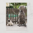 Search for leashed postcards Animal