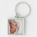 Search for shoulders key rings 19th