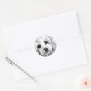 Search for white poodle stickers Animals