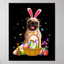 Search for brown eggs posters Bunnies