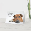 Search for sad get well cards Dog