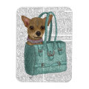 Search for bag magnets Animals