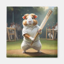 Search for playing magnets Player