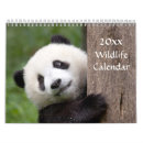 Search for snow leopard calendars Wildlife