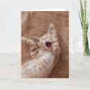 Search for yawn postcards Kitten