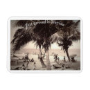 Search for arrived magnets Florida